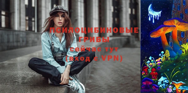 стафф Аркадак